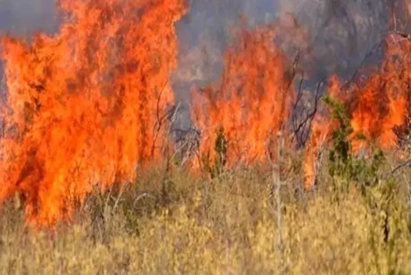 Πυρκαγιά στο Κοκκινοχώρι Καβάλας