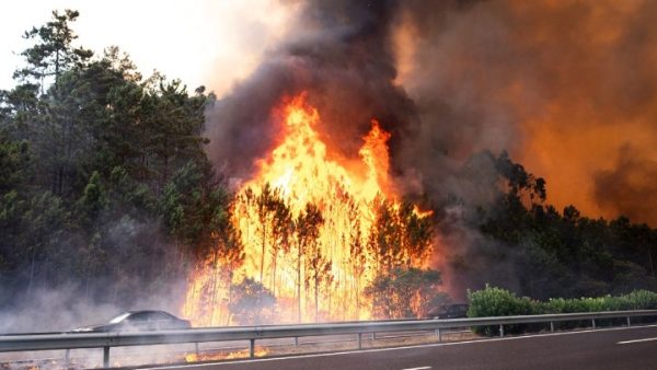 Κορύφωση του καύσωνα στην Ισπανία και δεκάδες χιλιάδες καμένα στρέμματα δασικής γης στην Πορτογαλία