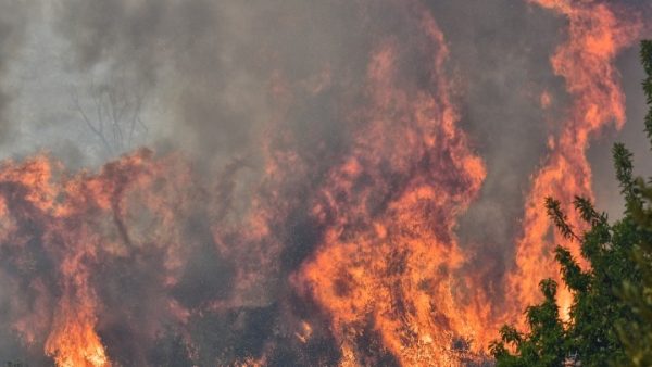 Μάχη με τις φλόγες στην Αλεξανδρούπολη – Εκκενώθηκαν οκτώ οικισμοί