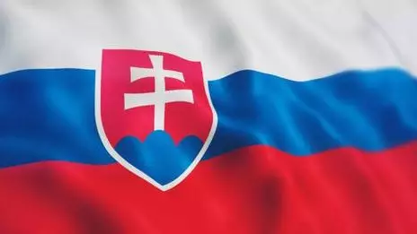 Ευρωπαϊκό Πρωτάθλημα MMA 2024 στη Σλοβακία τον Μάιο