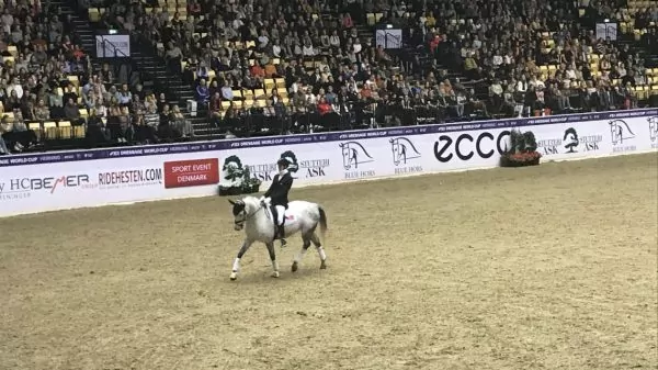 World Equestrian Games: Νέα επιτυχία για τη Δανία (vid)